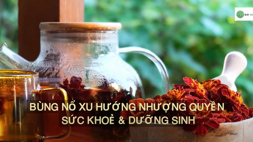 BÙNG NỔ XU HƯỚNG NHƯỢNG QUYỀN SỨC KHOẺ & DƯỠNG SINH