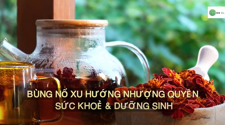 BÙNG NỔ XU HƯỚNG NHƯỢNG QUYỀN SỨC KHOẺ & DƯỠNG SINH